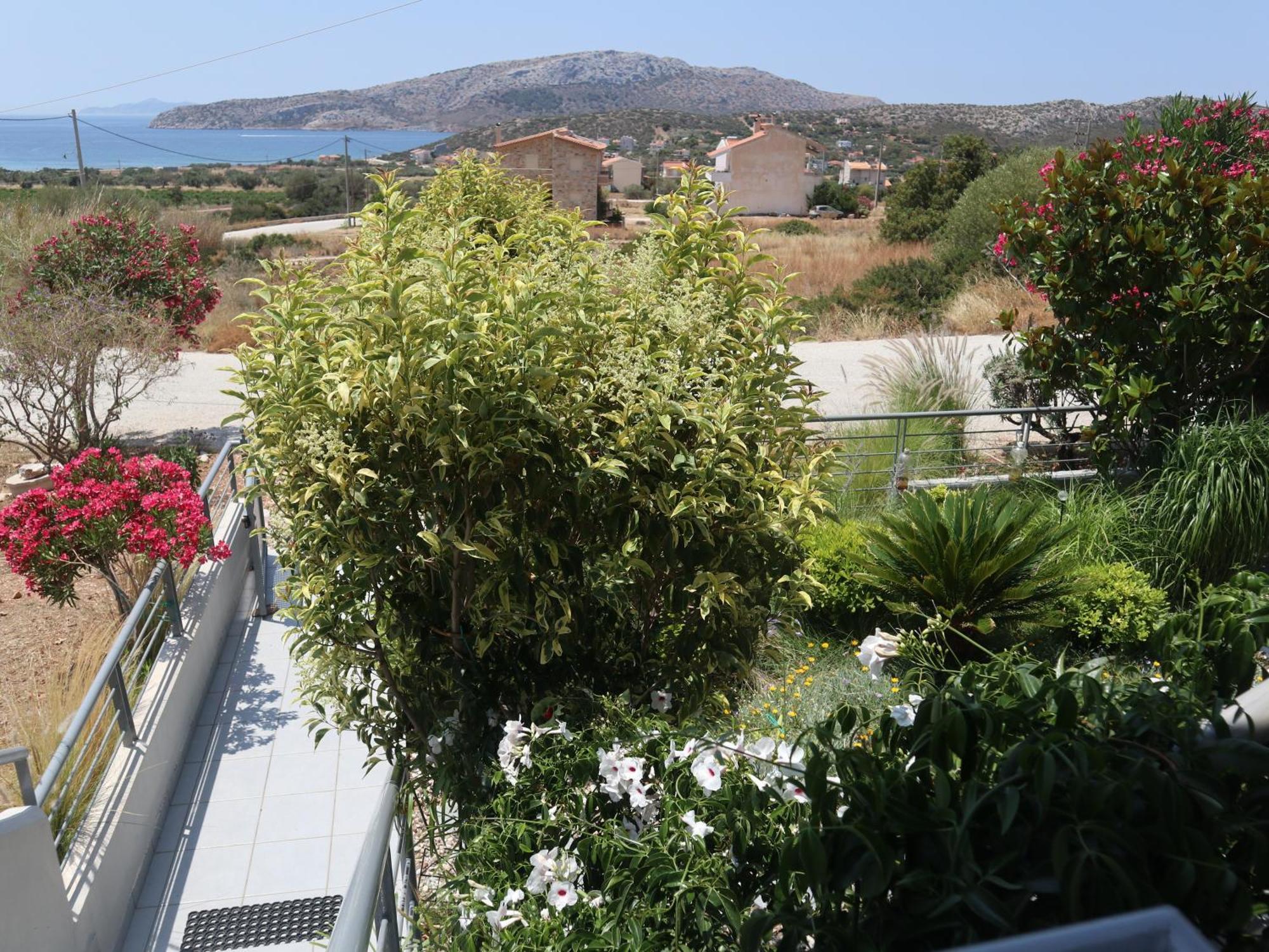 Patroclos Seaview Σούνιο Εξωτερικό φωτογραφία